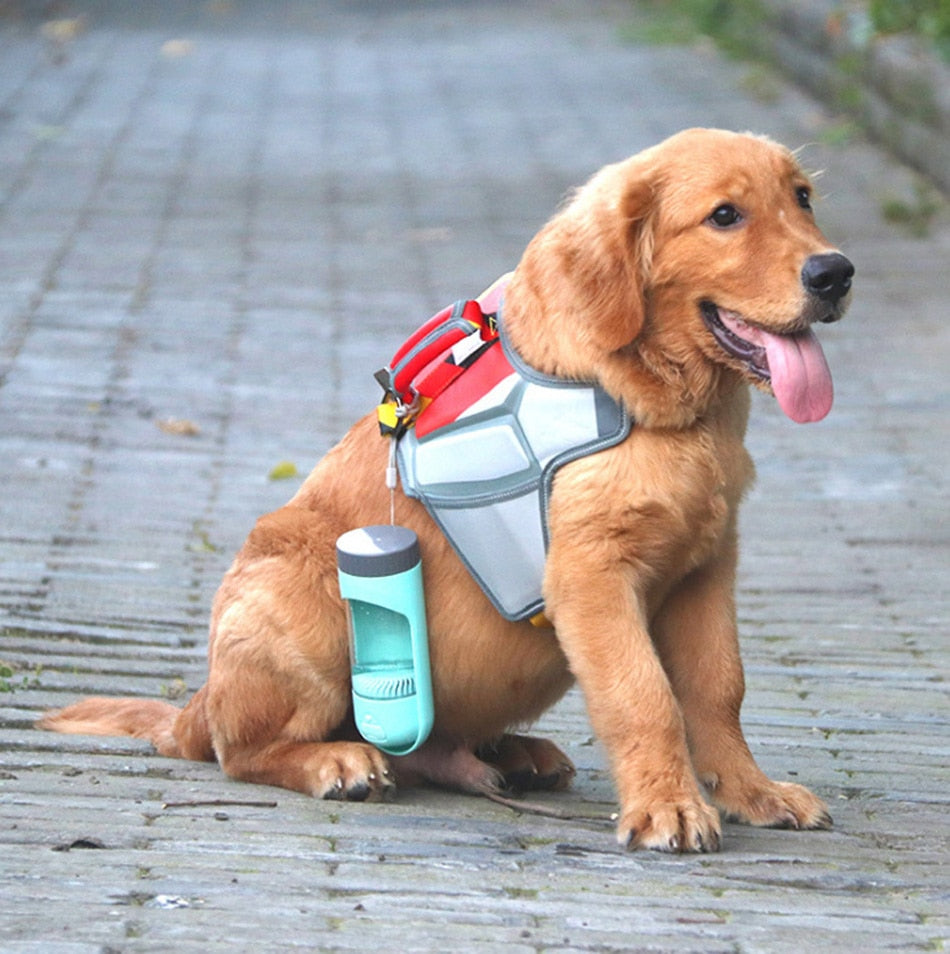 Botella bebedero portátil para perros